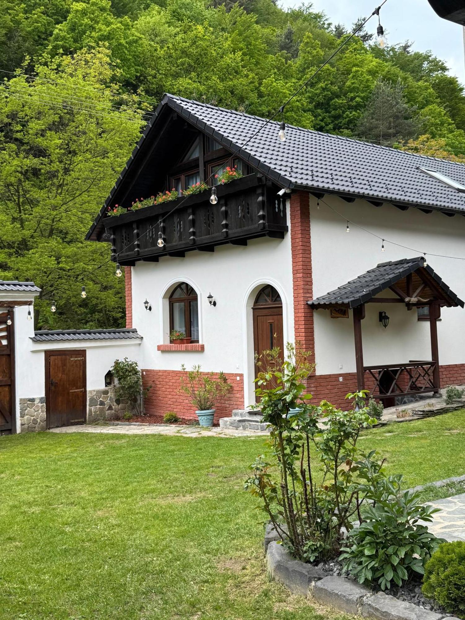 Casa Stefania Hotel Tălmaciu Exterior foto